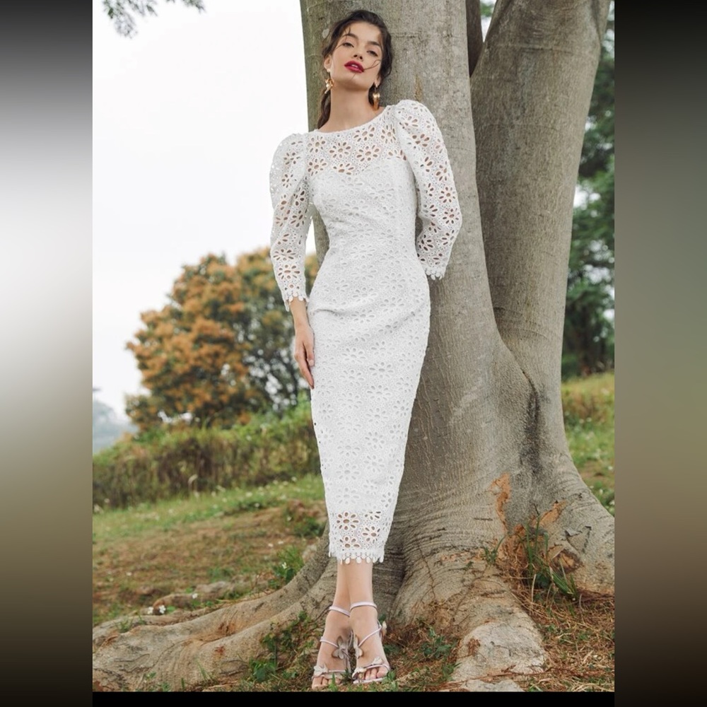 Lace Puff Sleeve Dress. Brand New with Tags